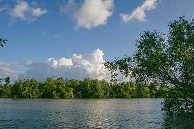 Gen.G积分榜排名持续攀升，积分榜单