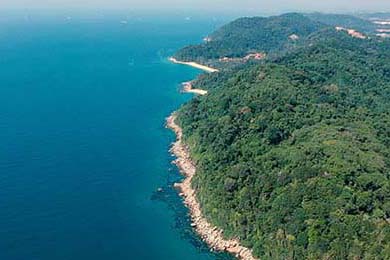 Cloud9推出限量战队周边，cloud9战队csgo队员